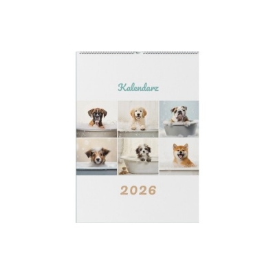 <img src='https://webimage.pl/pics/628/0/d76764-thickbox.jpg'>