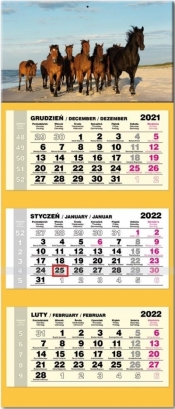 Kalendarz 2022 trójdzielny lux Konie