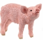 Schleich, Prosię (SLH13934)