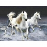 Diamentowa mozaika - Białe konie w morzu (NO-1005262)