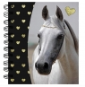 Notes spiralny Horse PP19H-3631 PASO