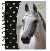 Notes spiralny Horse PP19H-3631 PASO