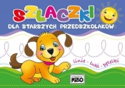 Szlaczki dla starszych przedszkolaków - Opracowanie zbiorowe