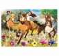 Puzzle 100: Spirit Riding Free - Podążaj za marzeniami (16362)