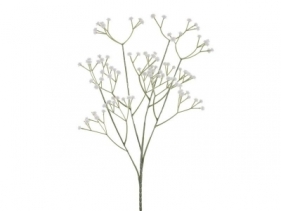 Gipsówka biała 62cm