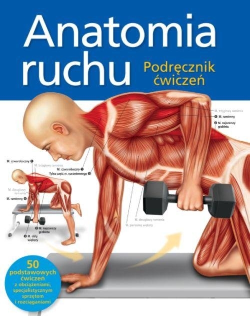 Anatomia ruchu