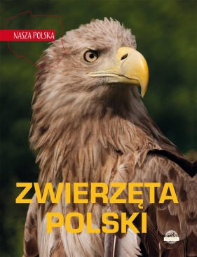 Nasza Polska Zwierzęta Polski