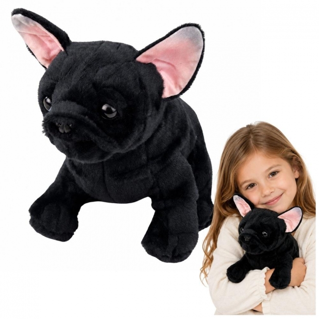 <img src='https://webimage.pl/pics/630/0/d5907990200630.jpg' style='height:440px' /> Buldog francuski czarny 22cm
