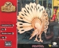 Łamigłówka drewniana Gepetto - Paw (105684)