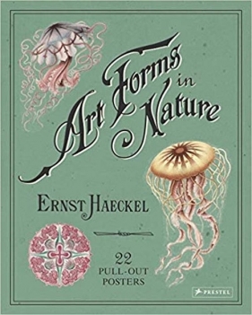 Art Forms in Nature Poster Book - Haeckel Ernst