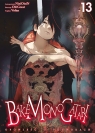 Bakemonogatari. Tom 13 Nisio Isin, Oh!Great
