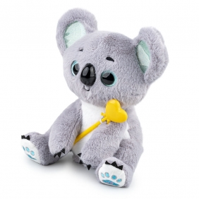 Dumel Discovery, Czarujący Koala