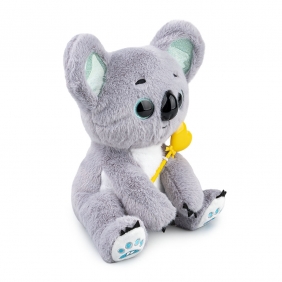 Dumel Discovery, Czarujący Koala