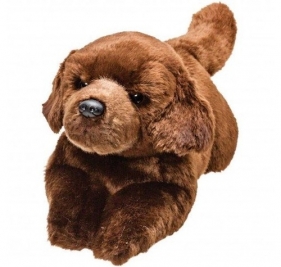 Leżący czekoladowy labrador 30 cm (12063)