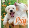 Kalendarz 2022 Ścienny Psy ARTSEZON