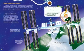 Ciekawostki i dowcipy dla supermózgów - Mathilda Masters