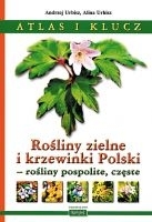 Atlas i klucz. Rośliny zielne i krzewinki Polski