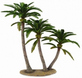 Drzewo palmowe (89663)