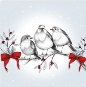 Karnet Swarovski kwadrat Święta Ptaszki na gałęzi