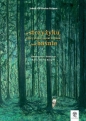 O strzyżyku, który chciał zostać królem i inne baśnie - Jacob Grimm, Wilhelm Grimm