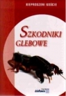 Szkodniki glebowe