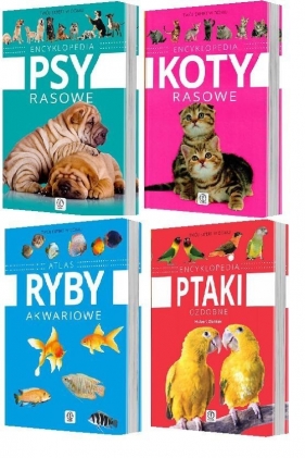 Expert. Encyklopedia - Mały Pakiet Dragon - Opracowanie zbiorowe