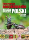 Ilustrowana encyklopedia owadów i pajęczaków Grabowski Michał, Jaskuła Radomir, Pabis Krzysztof