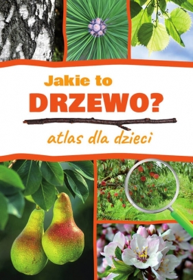 Jakie to drzewo? Atlas dla dzieci - Aleksandra Halarewicz