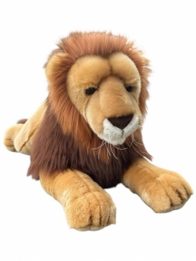 Lwica 70cm