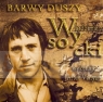 Włodzimierz Wysocki - Barwy duszy