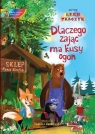 Dlaczego zając ma kusy ogon + audiobook Lech Tkaczyk