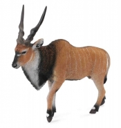 Antylopa wielka Eland XL (004-88563)