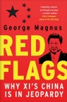 Red Flags Why Xi's China Is in Jeopardy Magnus George