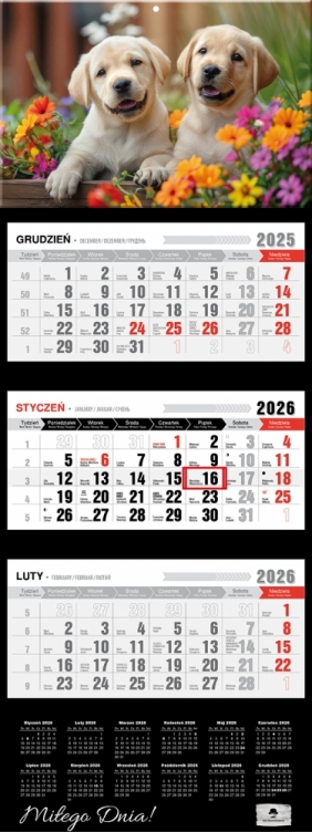Kalendarz trójdzielny z wypukłą główką 2026,1 szt.