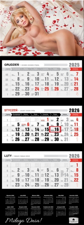Kalendarz trójdzielny z wypukłą główką 2026,1 szt.