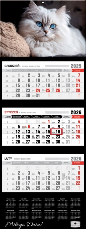 Kalendarz trójdzielny z wypukłą główką 2026,1 szt.