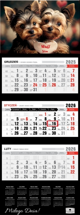 Kalendarz trójdzielny z wypukłą główką 2026,1 szt.