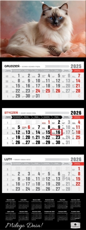 Kalendarz trójdzielny z wypukłą główką 2026,1 szt.
