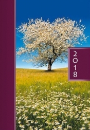 Terminarz 2018 A5 kolor - drzewo