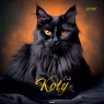 Kalendarzy ścienny duży - Koty