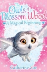 The Owls of Blossom Wood: A Magical Beginning Coe Catherine