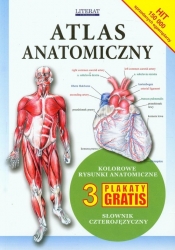 Atlas anatomiczny - <br />