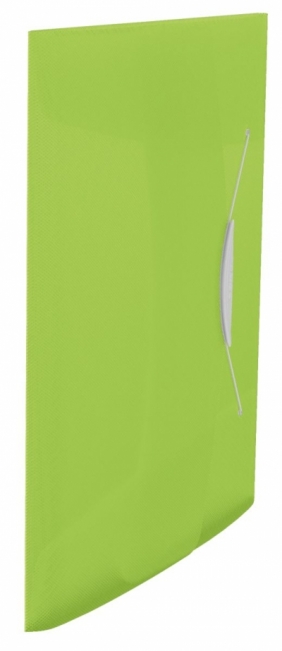 Teczka plastikowa na gumkę Esselte Vivida 15 A4 kolor: zielony 233 mm x 320 mm (624041)