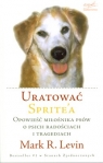 Uratować Sprite'a