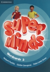 Super Minds Wordcards (Pack of 83) - Herbert Puchta, Peter Lewis-Jones, Günter Gerngross