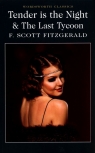 Tender is the Night & The Last Tycoon Francis Scott Fitzgerald