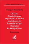 CEIDG. Przedsiębiorcy zagraniczni w obrocie gospodarczym. Rzecznik