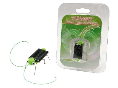 Konik polny solarny