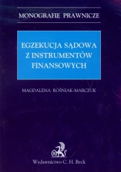 Egzekucja sądowa z instrumentów finansowych