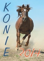 Kalendarz 2014 Konie SM 4 - <br />
